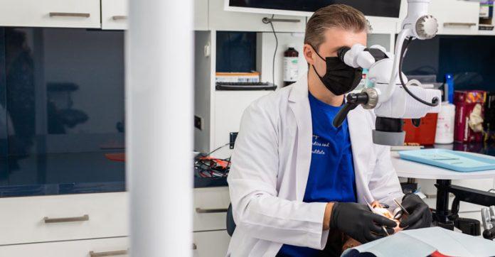 dentists in florida
