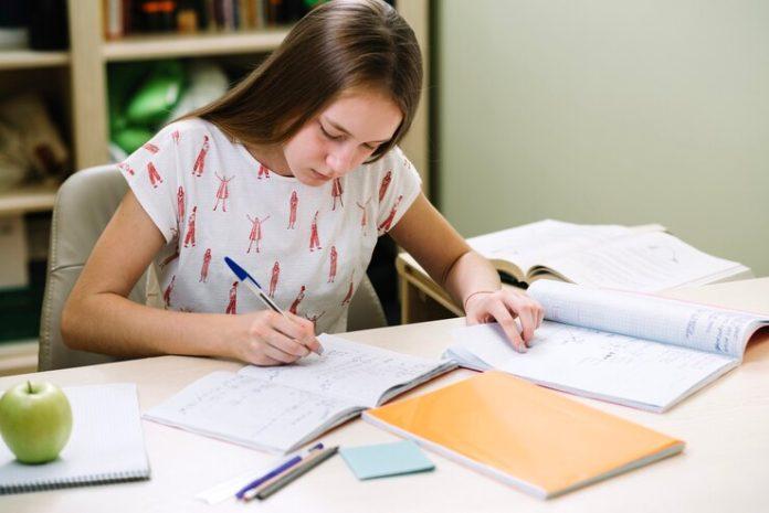 Writing Essay Help
