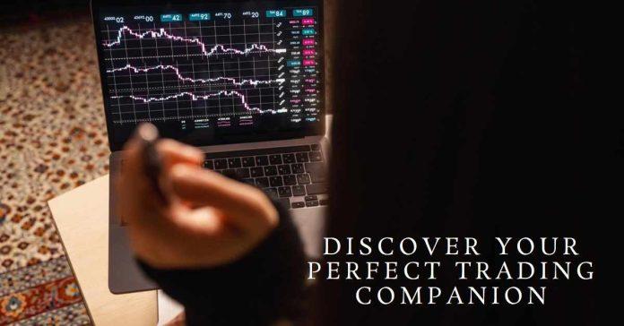 Dive into the Marketplace Your Trading Companion Unveiled