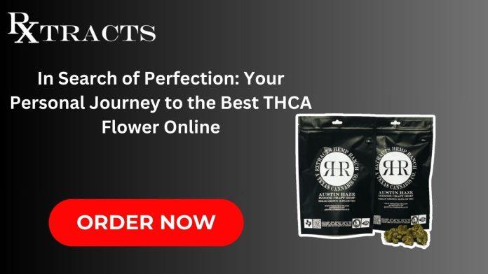 In Search of Perfection Your Personal Journey to the Best THCA Flower Online