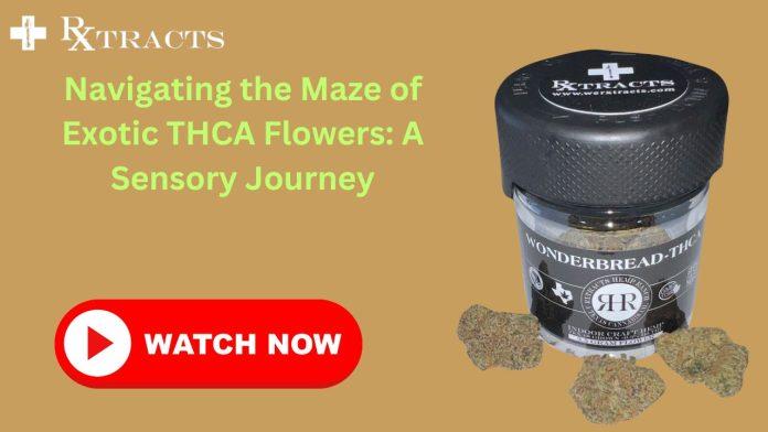Navigating the Maze of Exotic THCA Flowers A Sensory Journey