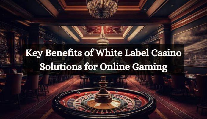 White Label Casino Solution