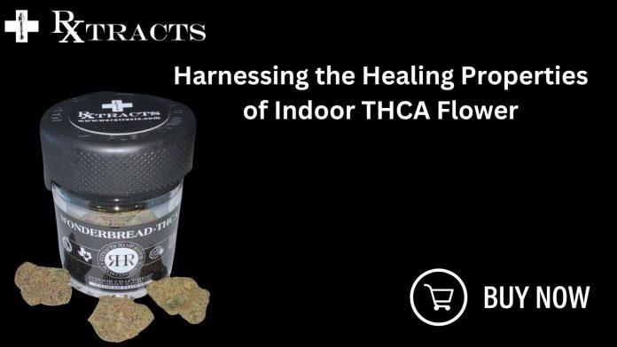 Harnessing the Healing Properties of Indoor THCA Flower