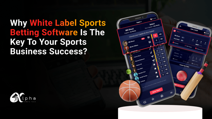 white label sports betting software is the key to your sports business success
