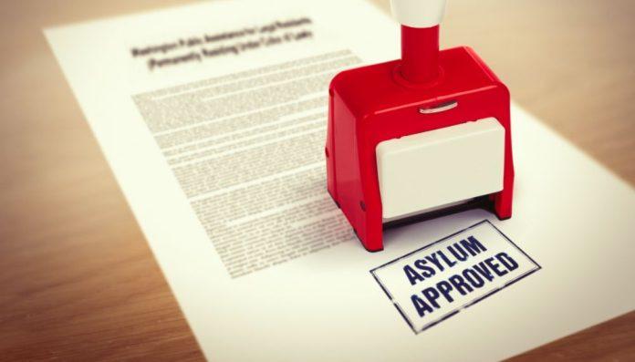 asylum lawyer