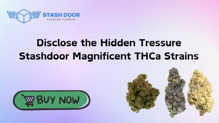 THCa Strains