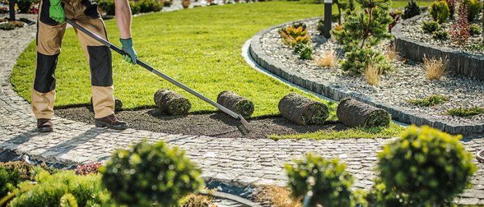 landscaping company Longmont CO