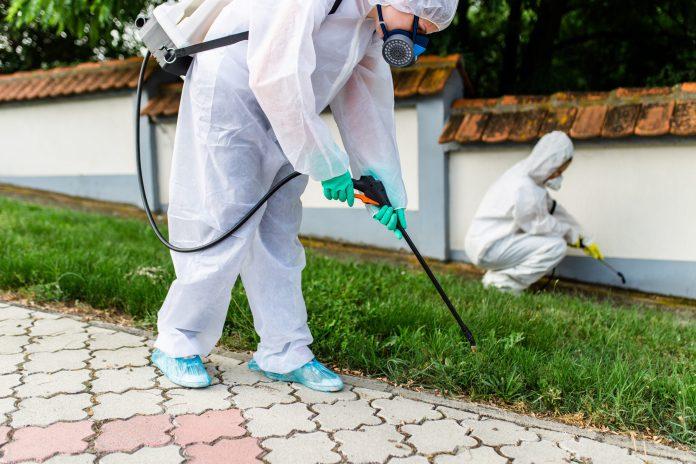 Pest Control Services in Islamabad