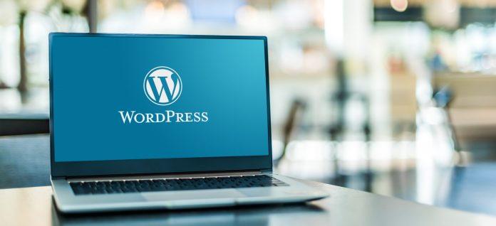 WordPress Ecommerce Developers