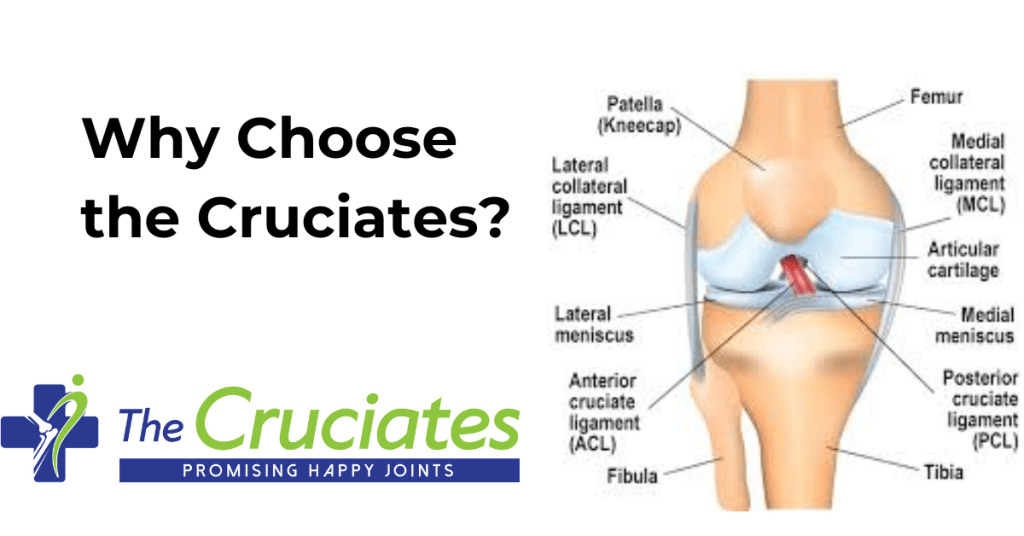 best acl surgeon in hisar