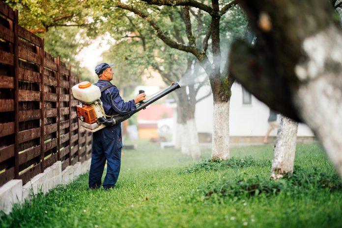 Pest Control and Guide to Bed Bug Treatment