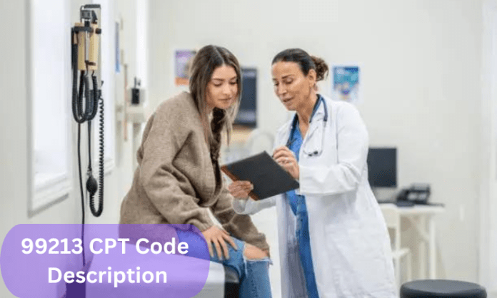 99213 CPT Code Description