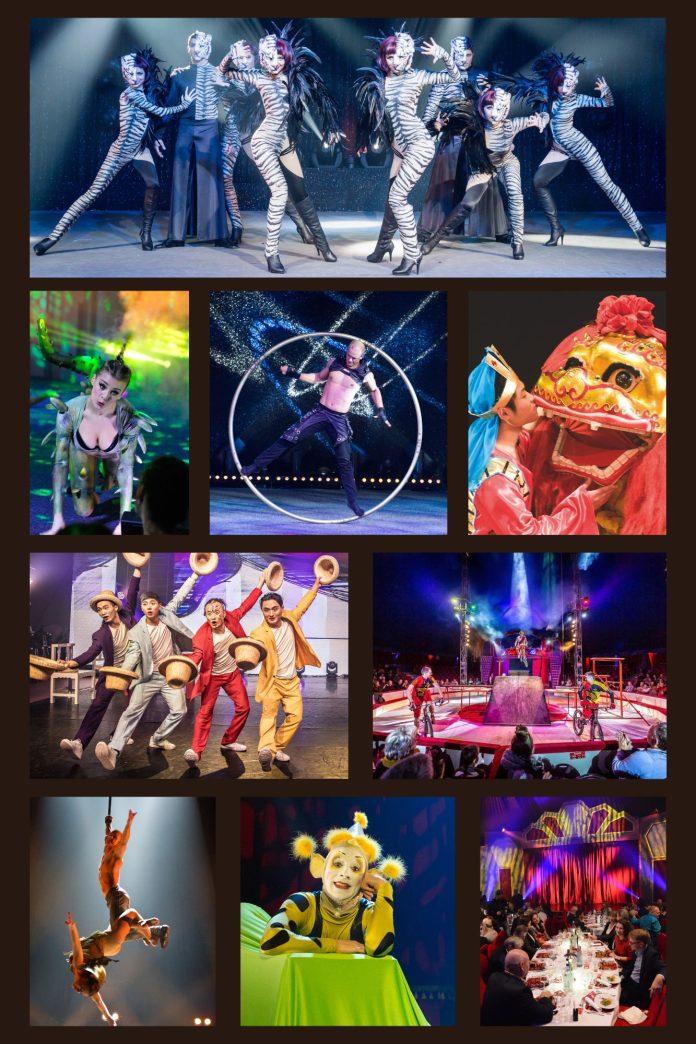 dinnershow dresden 2024