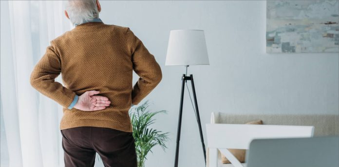 back pain specialists clifton