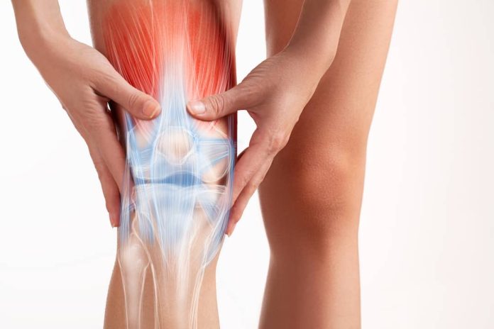 knee management specialist
