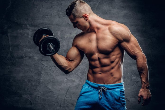 gym financial model