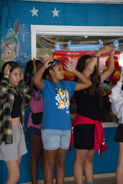 Brooklyn Day Camps