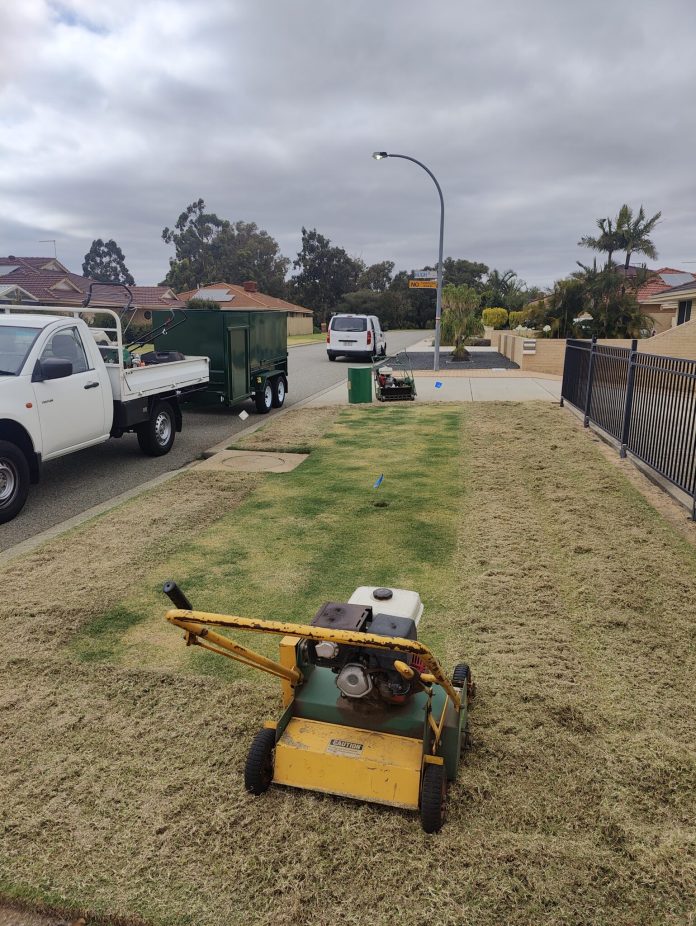 Scarifying Buffalo Lawn