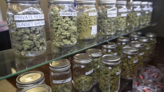 Cannabis Dispensary