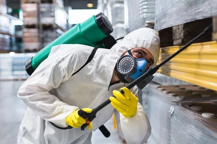 Pest Control near Me