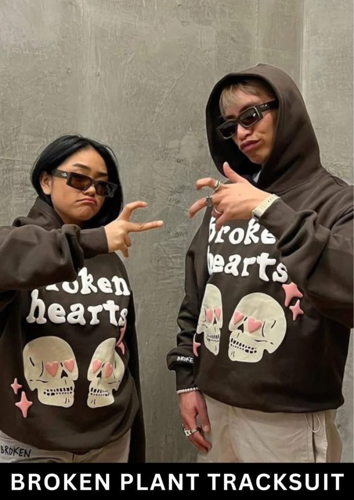 Fashion