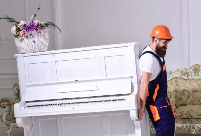 pinao-removalist