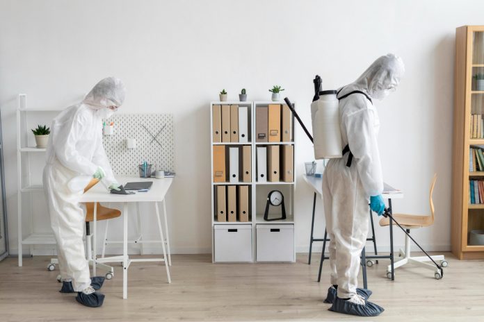 mold removal wichita ks