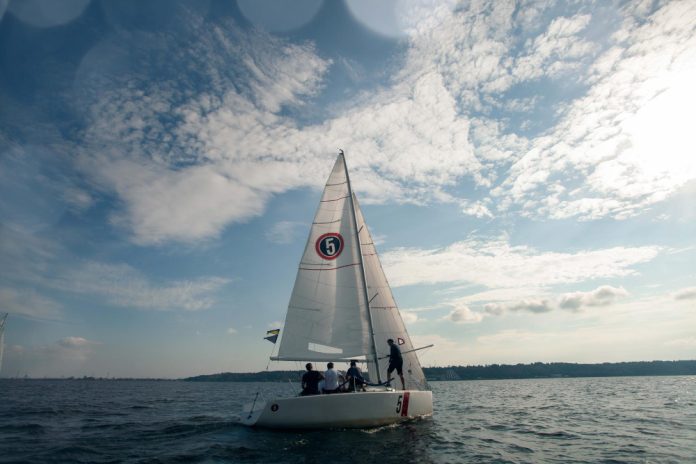 sunfish sail for sale