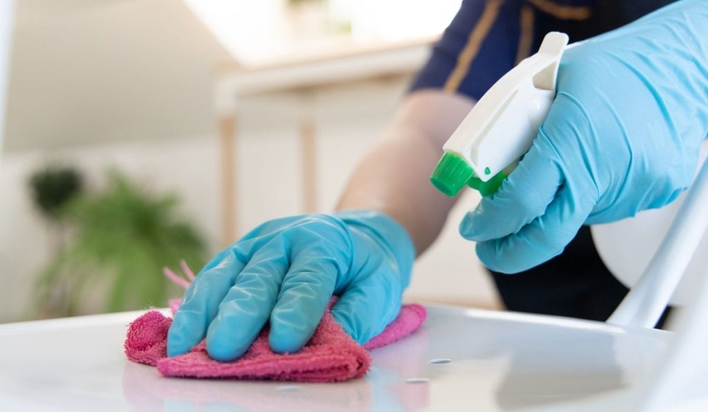jupiter cleaning services
