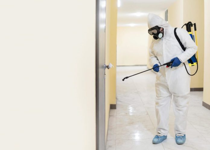 Las Vegas Pest Control Companies