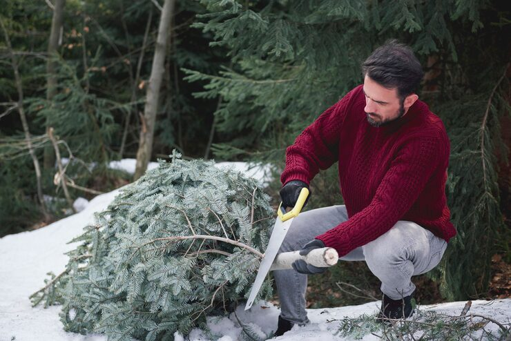 forestry mulching contractors