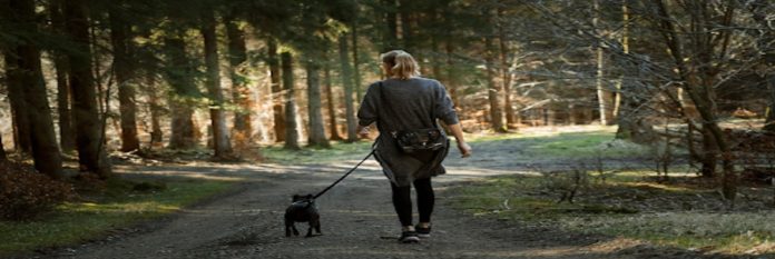 Dog Walking Companies in New Orleans