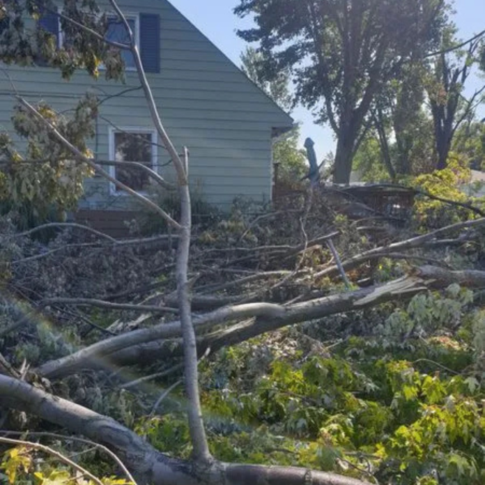 storm damage cleanup services